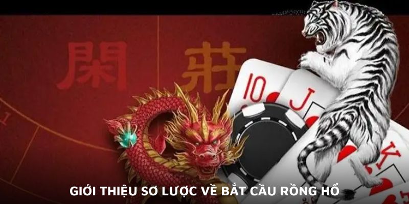 Giới thiệu sơ lược về bắt cầu Rồng Hổ